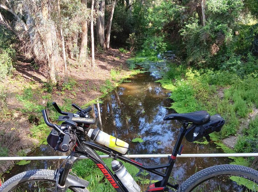 Ruta ciclista del agua Sevilla